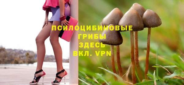 ешки Алзамай