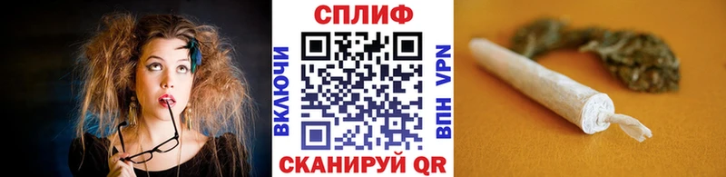 Бошки Шишки план Катайск